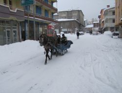 Kar çilesine atlı kızak çözümü